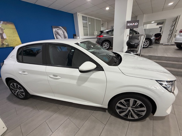 PEUGEOT 208 Active Blue HDI 100 CV. 5 p. - Imagen 7